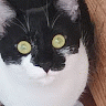 profile_image